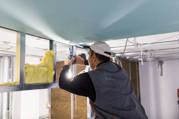 Best Eco-Friendly Insulation in Chester Center, CT